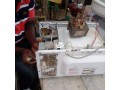 repair-service-of-all-kinds-of-electric-equipment-small-1