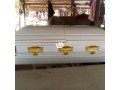coffins-and-casket-small-1