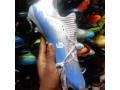 soccer-boots-small-1