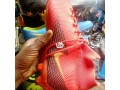 soccer-boots-small-0