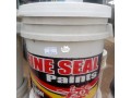 fine-seal-high-quality-emulsion-paint-small-0