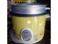 3l-rice-cooker-small-1