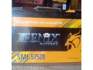 Quality and Original Fenix Car Battery