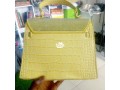 ladies-handbag-small-0