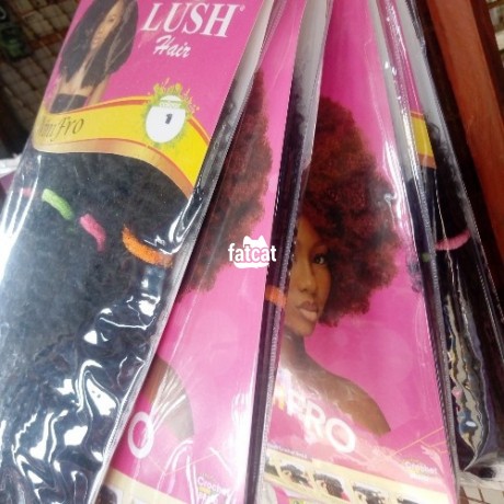 Classified Ads In Nigeria, Best Post Free Ads - big-fro-hair-with-lush-ninifro-hair-big-2