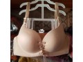 brassiere-bra-small-0