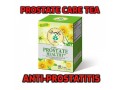 prostrate-tea-small-0