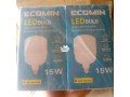 electric-light-bulbs-small-1