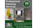 professional-cleaning-services-small-0