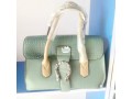 ladies-handbag-small-1