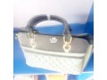 ladies-handbag-small-2