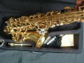 premier-alto-saxophone-small-2