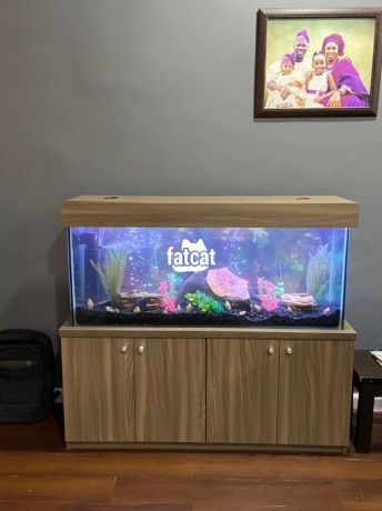 Classified Ads In Nigeria, Best Post Free Ads - luxury-standing-aquarium-big-0