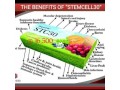 superlife-stc30-stemcell-therapy-products-for-sale-small-1