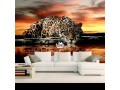 8d-wall-photo-murals-designs-small-4