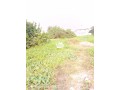 930sqm-land-within-opic-isheri-for-sale-small-0