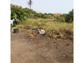 A Plot Of Land for Sale