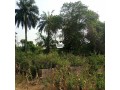 6-plots-of-land-for-sale-abeere-small-0