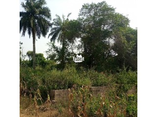 6 plots of Land for Sale Abeere