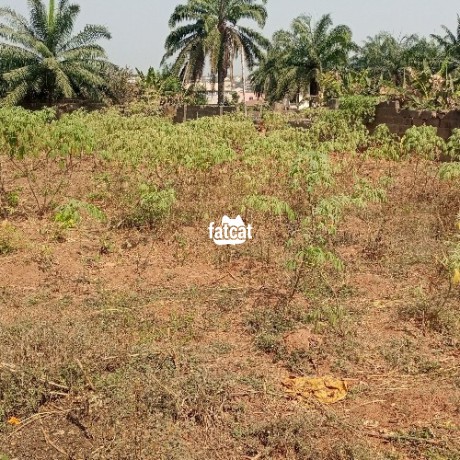 Classified Ads In Nigeria, Best Post Free Ads - 2-acres-of-land-at-ibikunle-dada-estate-big-0