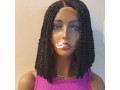 curly-braided-wig-small-0