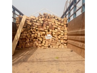 Timber and Plank is Available