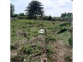 residential-land-for-sale-after-christopher-university-small-0