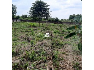 Residential Land for Sale After Christopher University