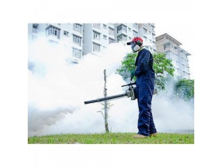 Fumigation and Pest Control Service