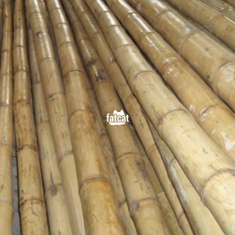 Classified Ads In Nigeria, Best Post Free Ads - bamboo-sticks-supply-big-1