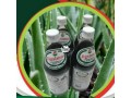 jigsimur-natural-health-drink-750ml-aloe-ferox4-bottles-small-1