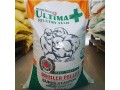 chikun-and-ultima-feeds-available-for-sale-small-2