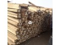 plank-and-roofing-wood-small-2