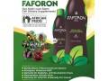 faforon-herbal-drink-small-1