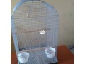 parrot-cage-small-2