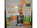 900-watts-nutribullet-smooth-blender-small-0