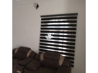 Professional window blinds