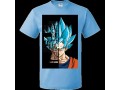 goku-dragon-ball-small-0