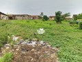 2-12-plots-of-land-for-sale-at-aworawo-community-ojoo-ibadan-small-0