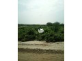 2-plots-of-land-for-sale-small-0