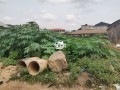 land-for-sale-in-ogba-ikeja-lagos-small-1