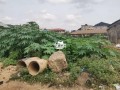land-for-sale-in-ogba-ikeja-lagos-small-0