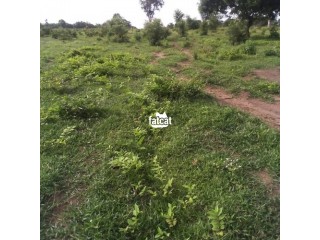 20 Acres of Land for sale