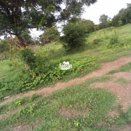 Classified Ads In Nigeria, Best Post Free Ads - 20-acres-of-land-for-sale-big-2