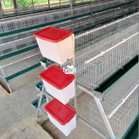 Classified Ads In Nigeria, Best Post Free Ads - battery-cages-imported-96-birds-capacity-big-0