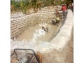 farm-set-up-hatchery-set-up-pond-construction-and-farm-consultancy-services-small-0