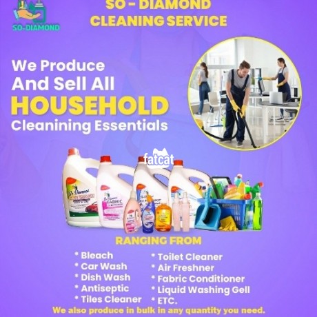 Classified Ads In Nigeria, Best Post Free Ads - professional-cleaning-services-big-0