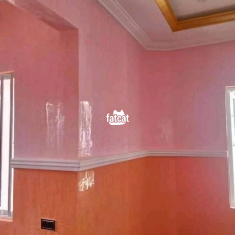 Classified Ads In Nigeria, Best Post Free Ads - stucco-mable-paint-big-2