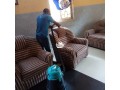 expert-upholstery-cleaning-small-2