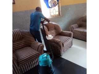 Expert upholstery cleaning